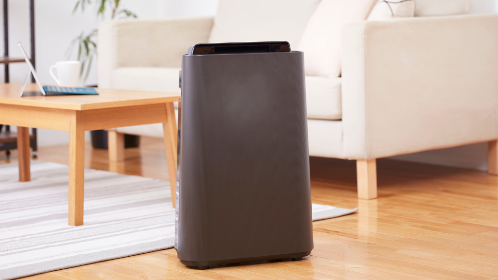 Air purifier for mold in a Singapore HDB bedroom