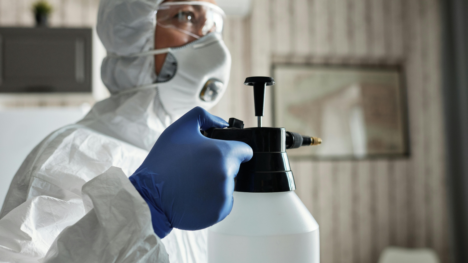 How Professional Disinfection Works