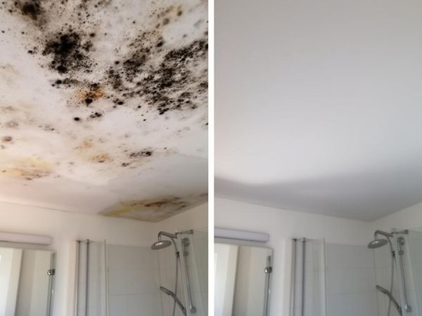 mold on ceiling