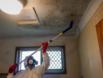 How Long Does Mold Removal Take